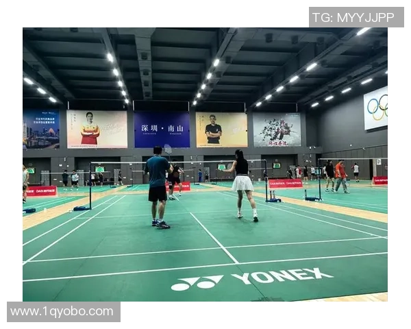羽毛球盛宴：深入深圳羽毛球队的训练与比赛节奏探秘