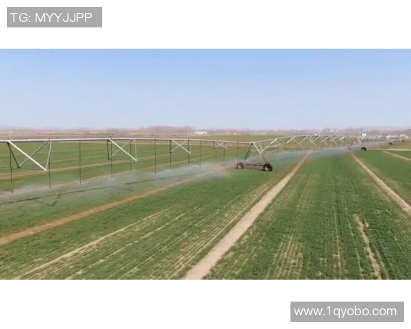 足球液氮箱的神奇魅力与应用探索让运动员焕发新生机